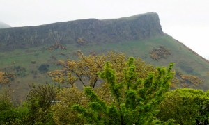 n161502201_30180349_8679