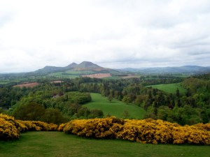 n161502201_30180620_610